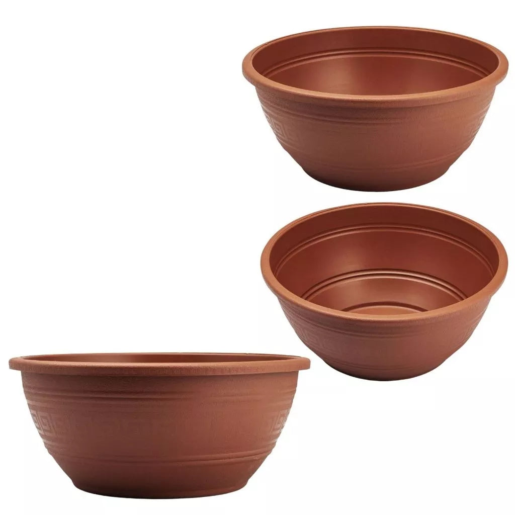 Kit com 15 Vaso Cuia para Rosa do Deserto - 6,6 Litros