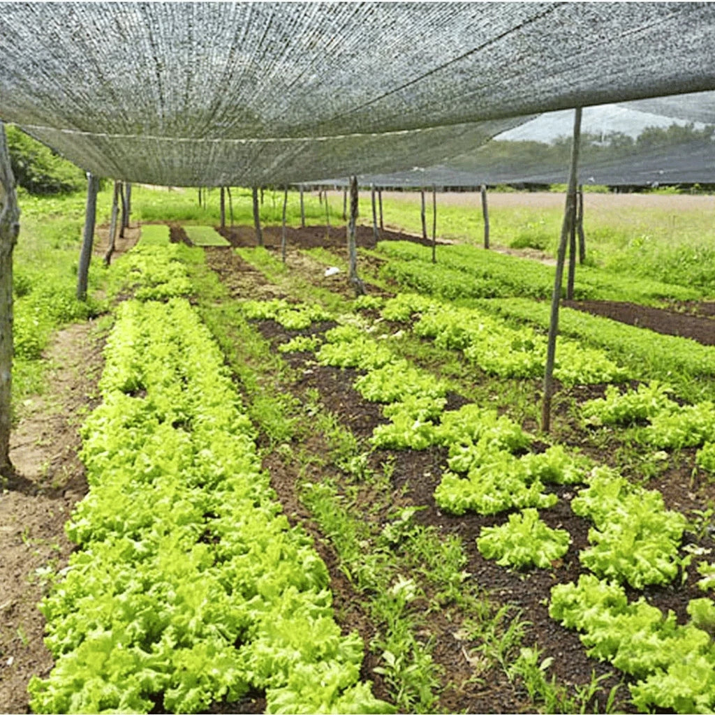 Tela Sombrite Profissional 80% para Hortas e Áreas Externas